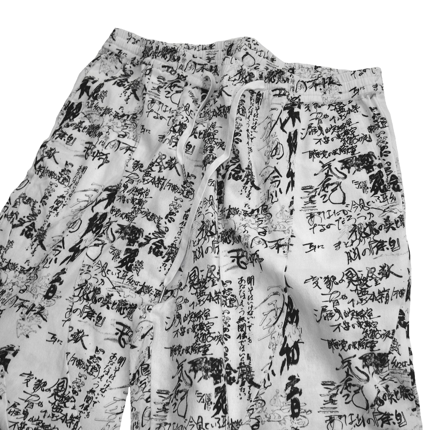IKUMI×残響シ念展 企画書 LONG PANTS